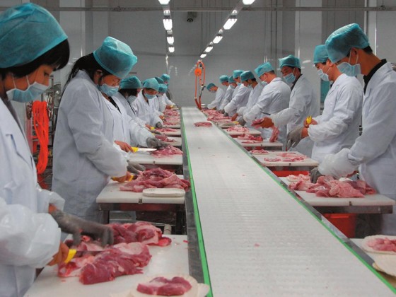 食品厂恒温恒湿无尘车间